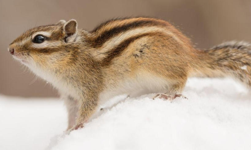 浙江华乐电子有限公司轮播图2