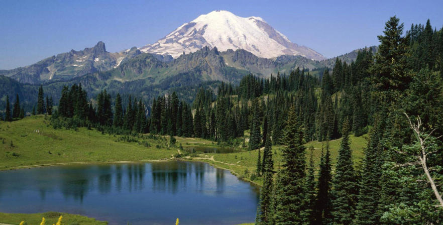 浙江华乐电子有限公司轮播图4